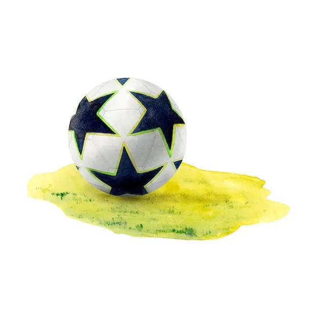 公司位置示意图